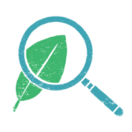 REVIEWS, HEALTH CHECKS, AND AUDITS - Ihluma Consulting